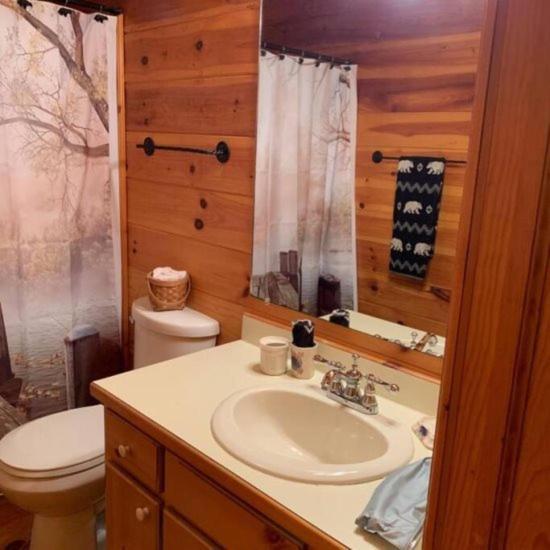 Willa Mountain Time Cabin, Hot Tub, Fire Pit, Fireplace Blue Ridge Zewnętrze zdjęcie